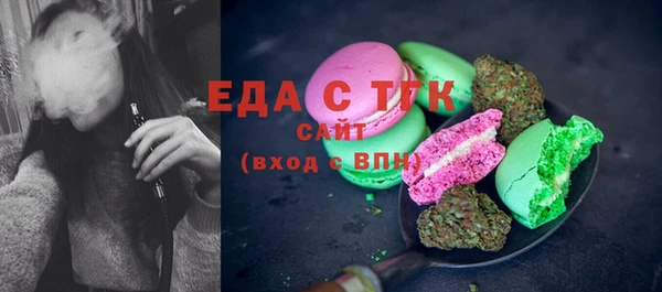 индика Алзамай