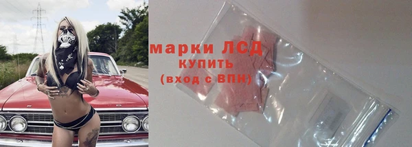 индика Алзамай