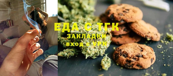 индика Алзамай