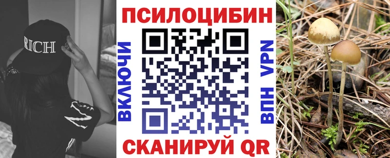 Псилоцибиновые грибы мицелий  Полевской 
